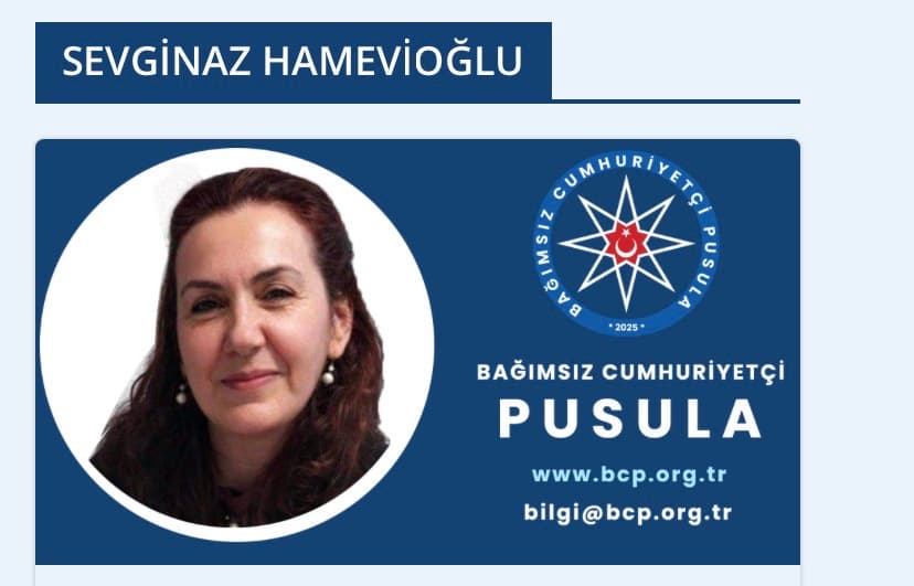 TÜRK DEVLET AKLININ TARİHSEL SÜRECİ, DERİN DEVLET AKLI